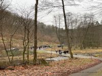 Silvesterwanderung23-01